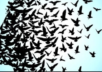 ده هزار امّای آزادی